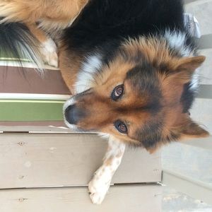 Meet your Posher, Tiffani